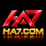HA7 Game Privacy Policy – User Data Protection
